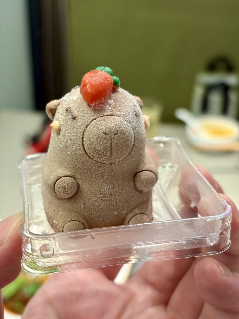 生活照片