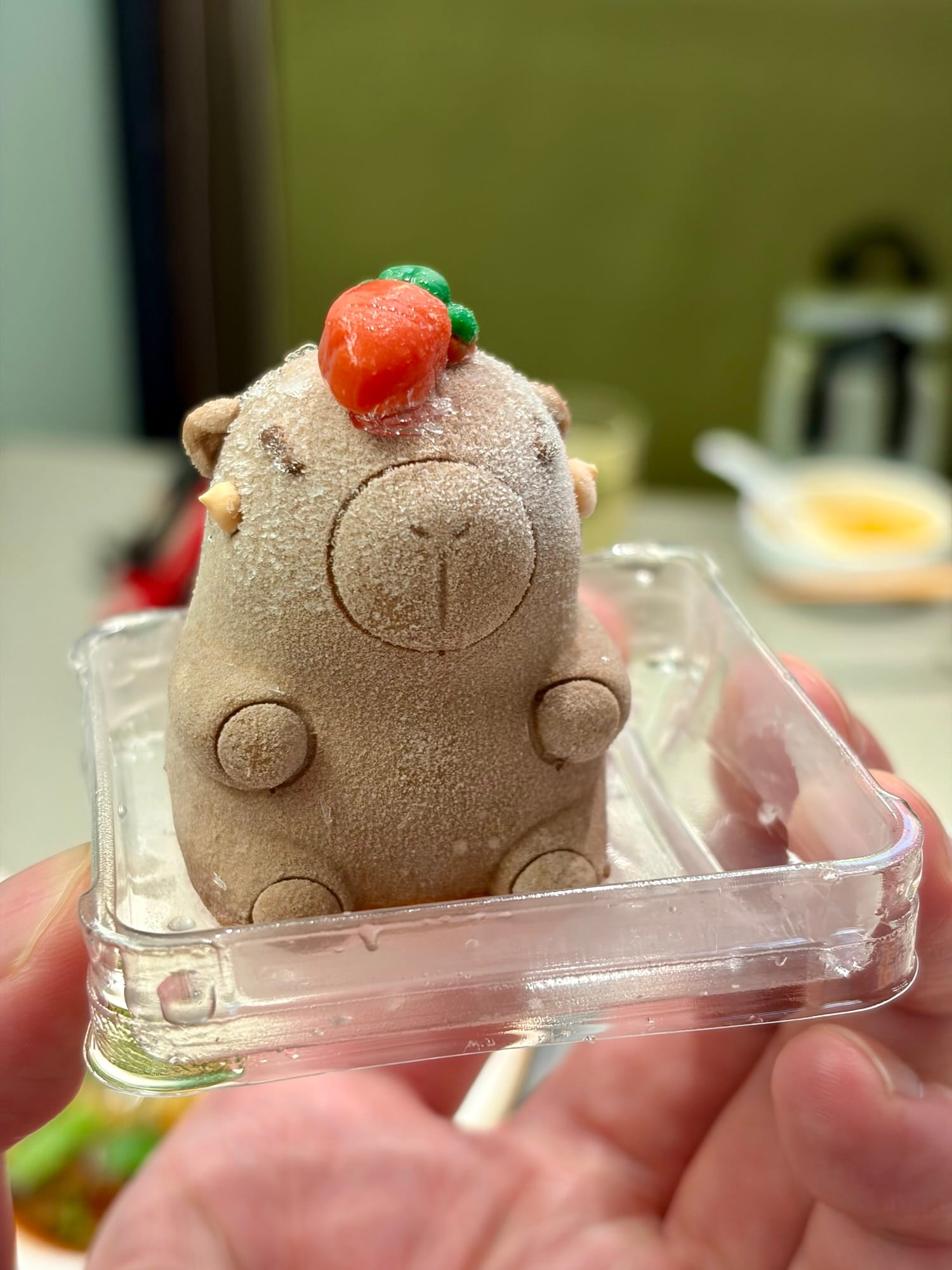 生活照片